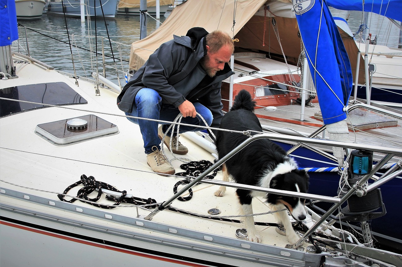 dog, sailboat, transport