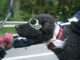 Watch: Dog Driving A Motorcycle With Two Human Riders