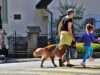 A Man Traveled 2800 Miles To Save A Pit Bull That Was Scheduled To Be Euthanized